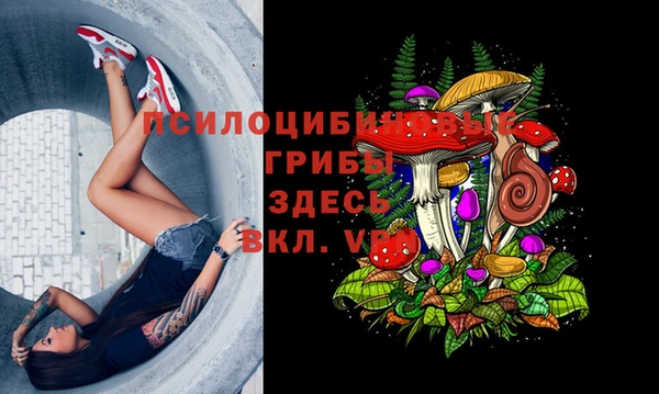 круглые Алексин