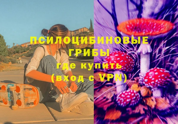 стаф Алзамай