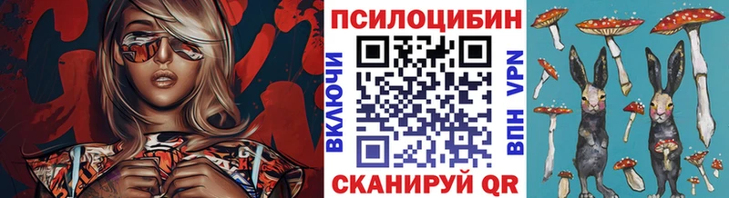 нарко площадка телеграм Себеж Псилоцибиновые грибы мицелий купить наркотики сайты